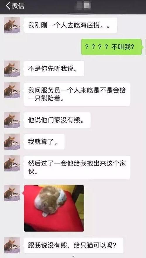 吃瓜满级完整版,揭秘娱乐圈幕后真相的惊心动魄之旅