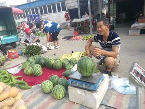 武穴粮哥吃瓜,揭秘农村生活趣味瞬间