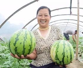 武穴粮哥吃瓜,揭秘农村生活趣味瞬间