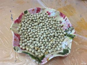 五一为什么吃瓜,揭秘“吃瓜群众”的狂欢盛宴