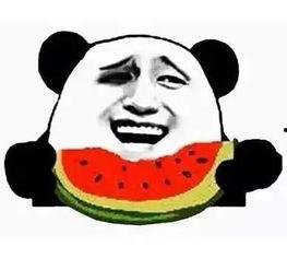 吃瓜的胖子图文大全,趣味横生的幽默瞬间