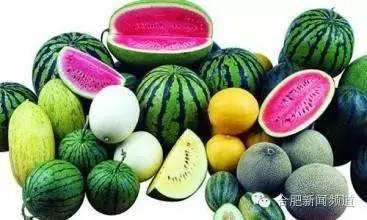 秋天的吃瓜指南,解锁秋季健康美味新选择