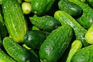 梦见免费吃瓜,揭秘免费吃瓜的奇幻之旅