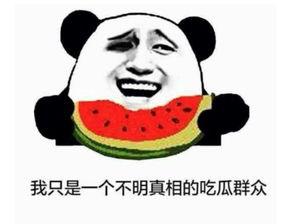 看剧吃瓜群众,看剧吃瓜群众的欢乐盛宴