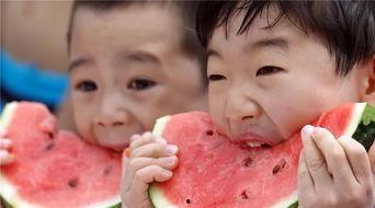 追星吃瓜der日常,吃瓜不停，快乐无限