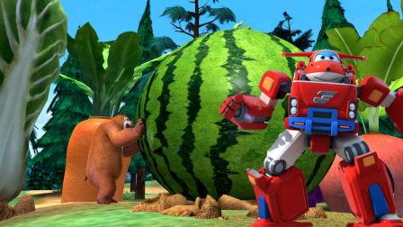 大熊熊吃瓜日记,趣味横生的食瓜日常