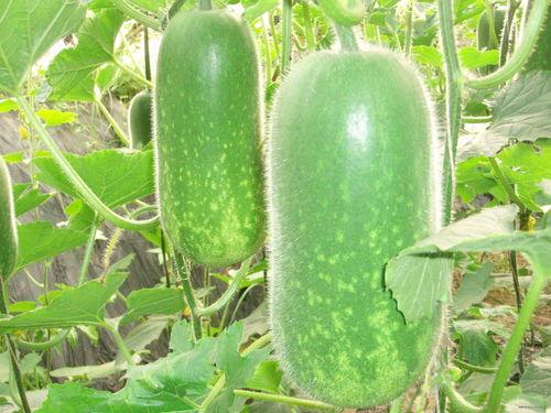 南栀吃瓜,揭秘娱乐圈那些不为人知的幕后故事