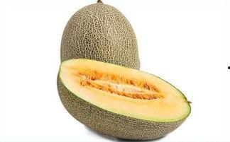 蜜瓜吃哈密瓜好吗,一场甜蜜的味蕾冒险