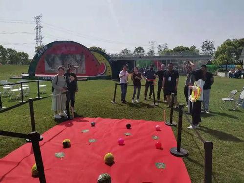 寻梦青年吃瓜,一场别开生面的吃瓜盛宴