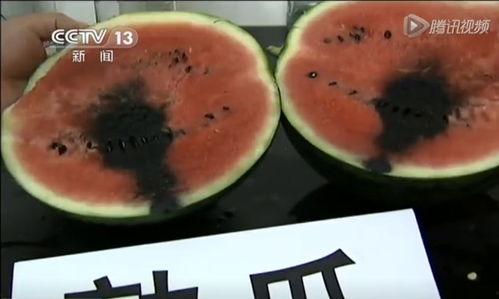 吃迷你瓜视频,一口大小的甜蜜诱惑