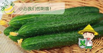 搭搭吃瓜呀,揭秘娱乐圈背后的那些事儿