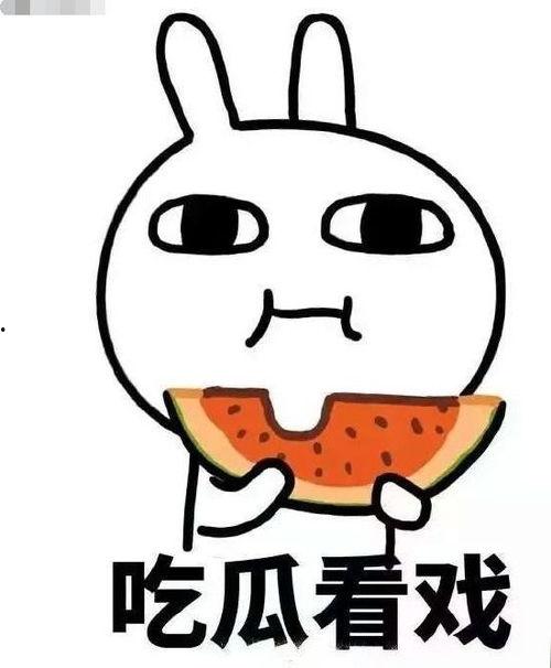 吃瓜放映厅,揭秘娱乐圈幕后故事