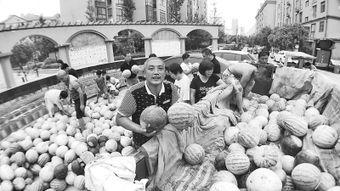 吃瓜网站朝阳热心,揭秘吃瓜网站背后的故事与真相